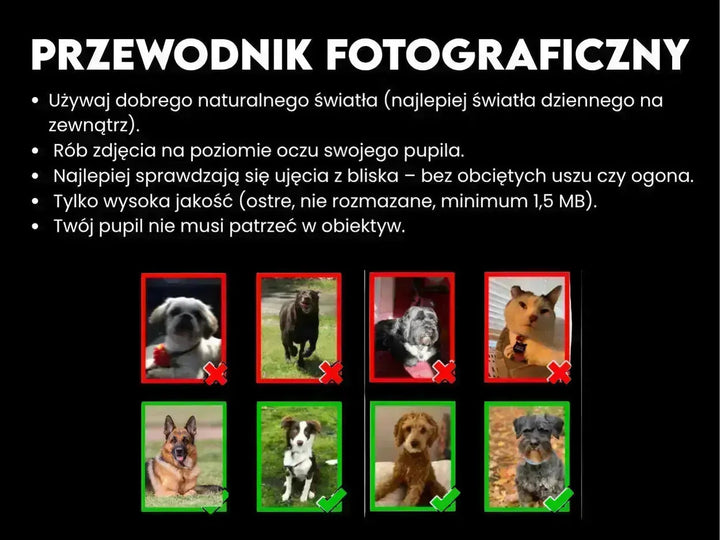 Portret Zwierzaka Cyfrowy – Styl Cesarz Rzymski 👑🐾 - Superrrr Store